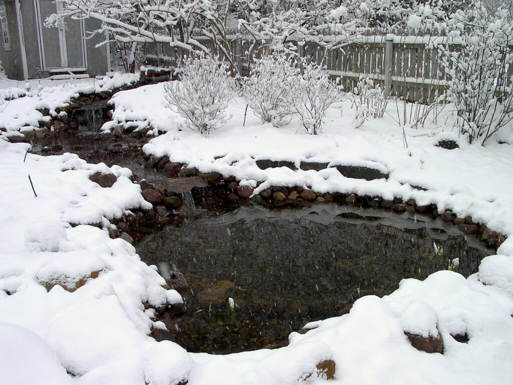 Pond in winter 2003
