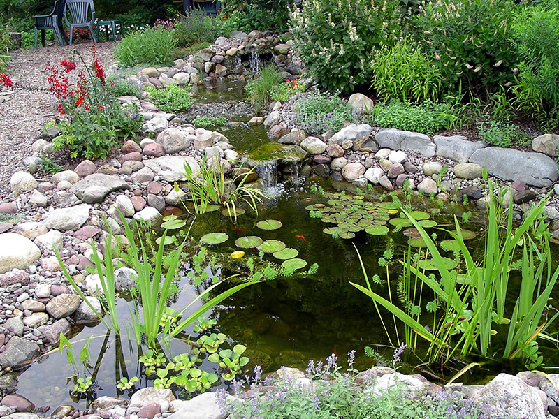 Pond in 2003