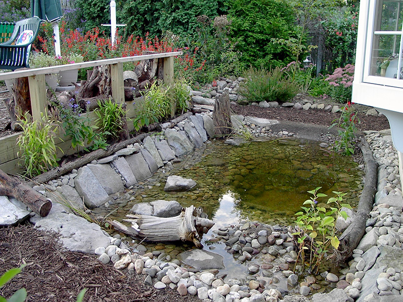 Wildlife pond finished