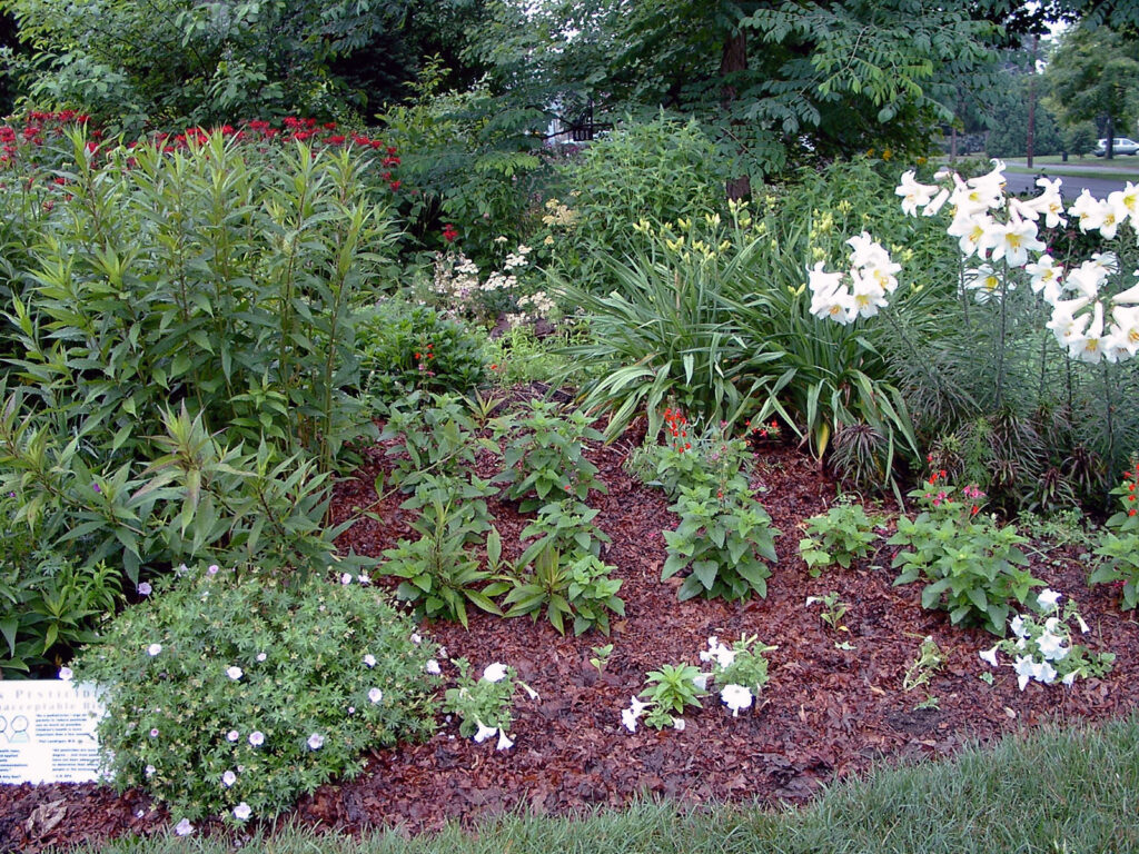Mulch – Our Habitat Garden