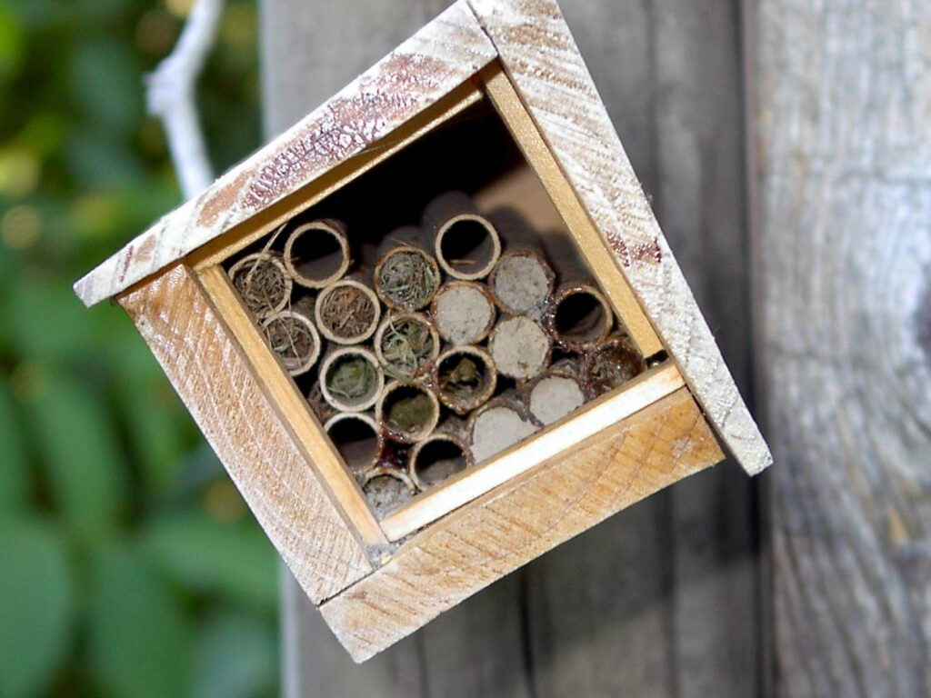 Bee house with straws filled