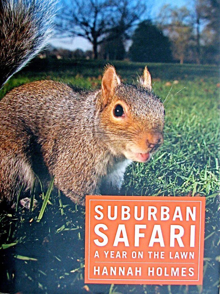 Suburban Safari book