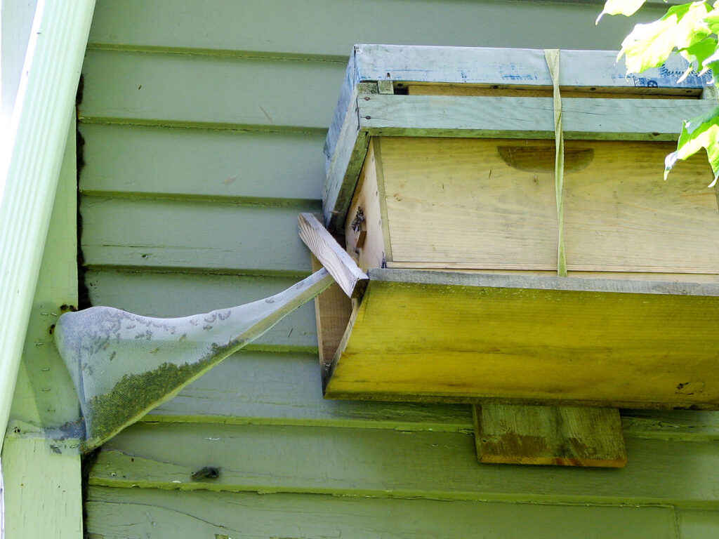 Bee nest at a nature center building