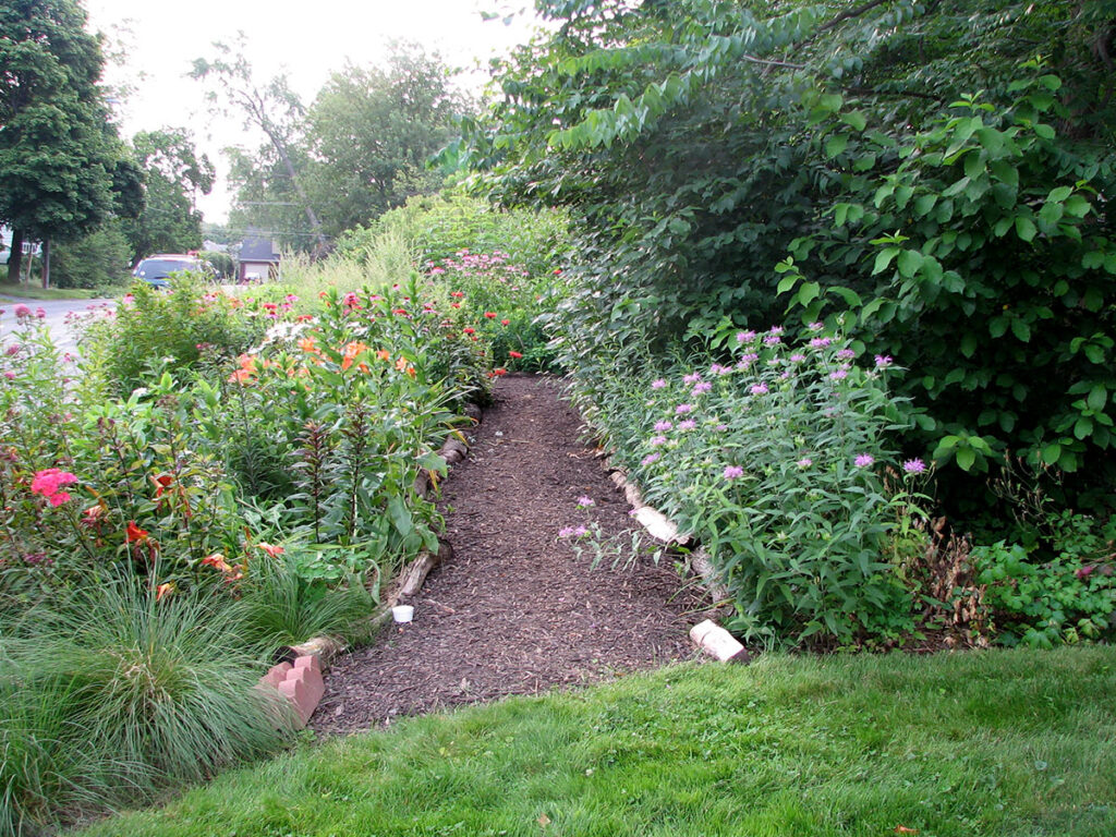 How to create a habitat garden – Our Habitat Garden