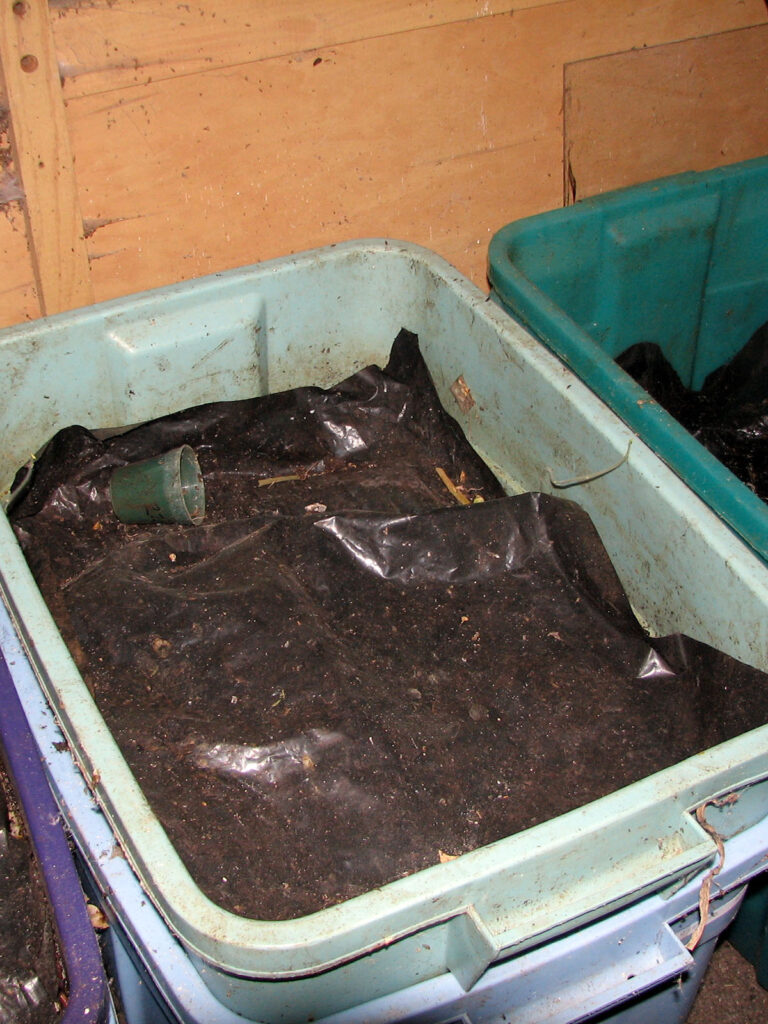 Vermicompost bucket