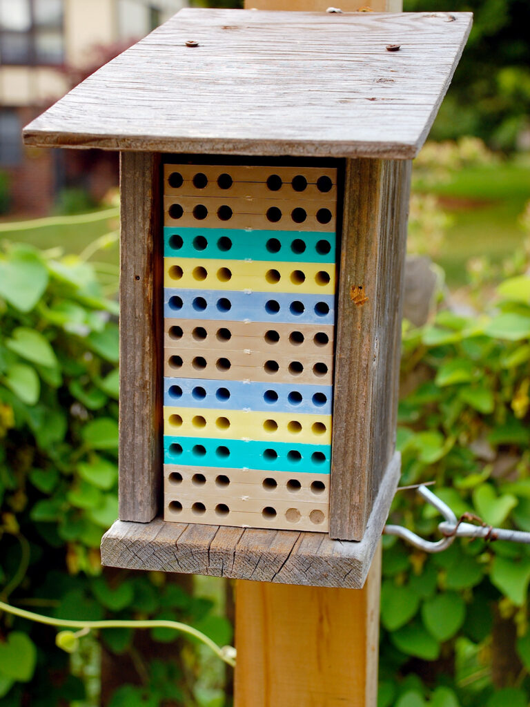Nestbox with plastic trays