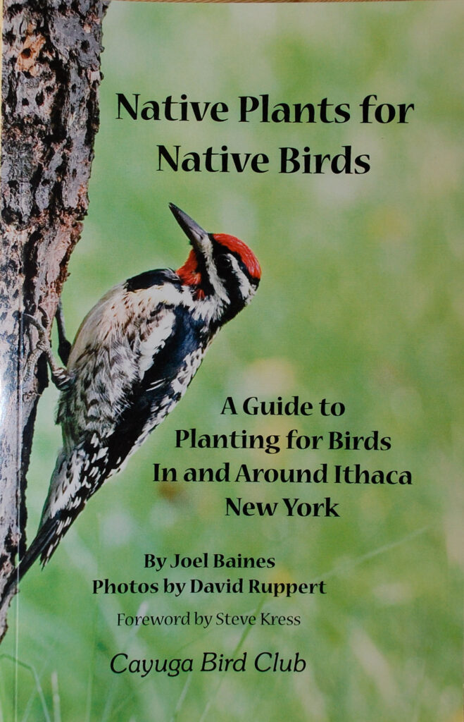 Native Plants for Native Birds book