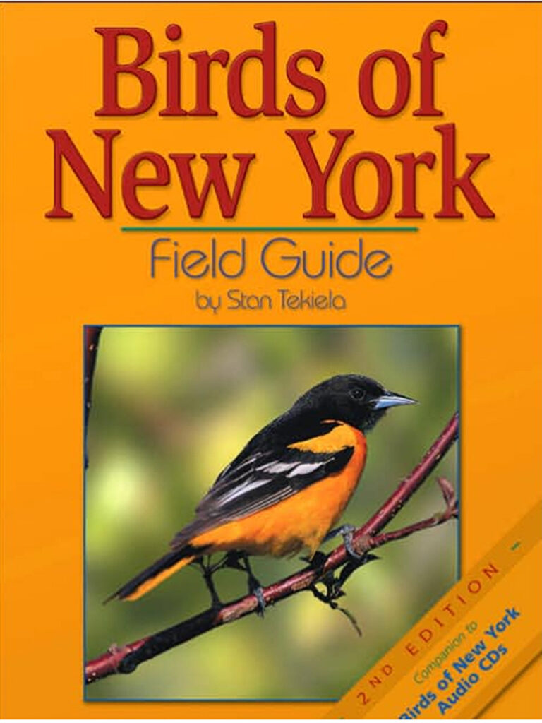 Birds of NY book