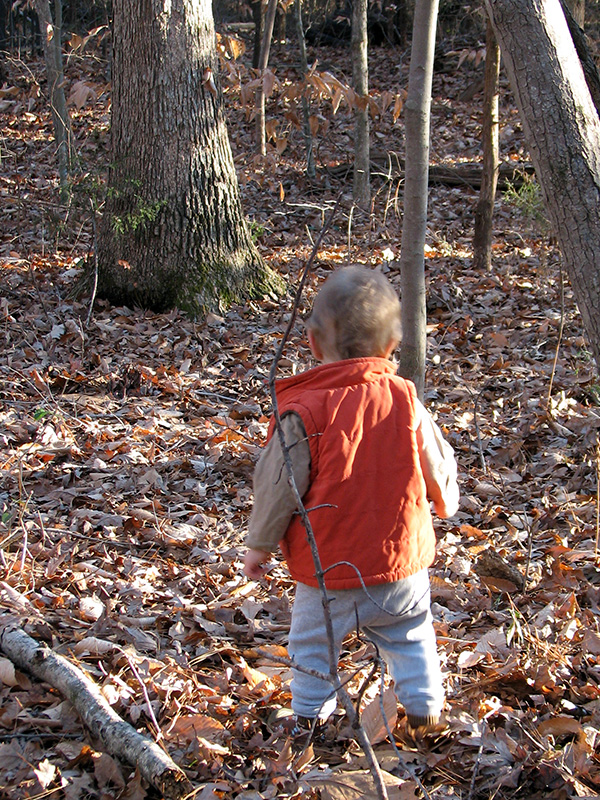 Young child in woods