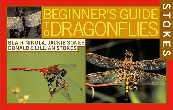 Dragonflies book