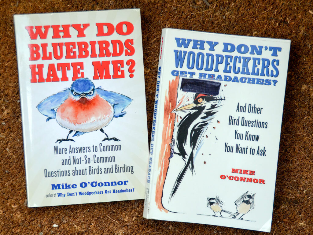 Bird books by Mike O'Connor