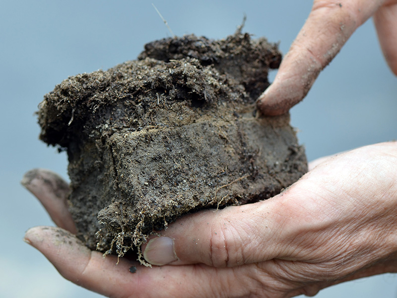 Roadside soil sealed