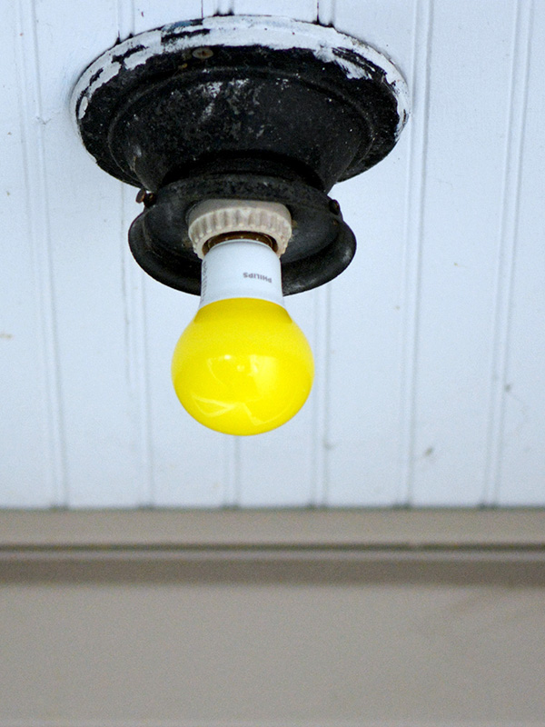 Yellow bulb