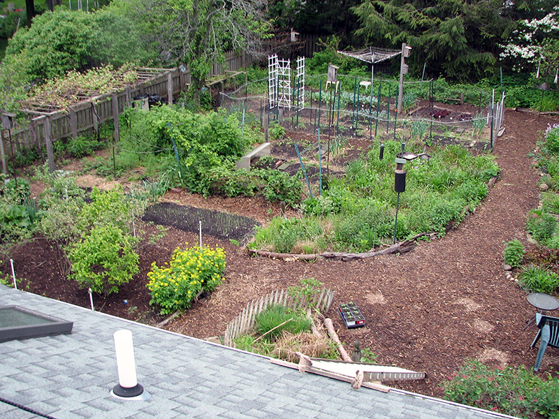 Our edible garden from the roof