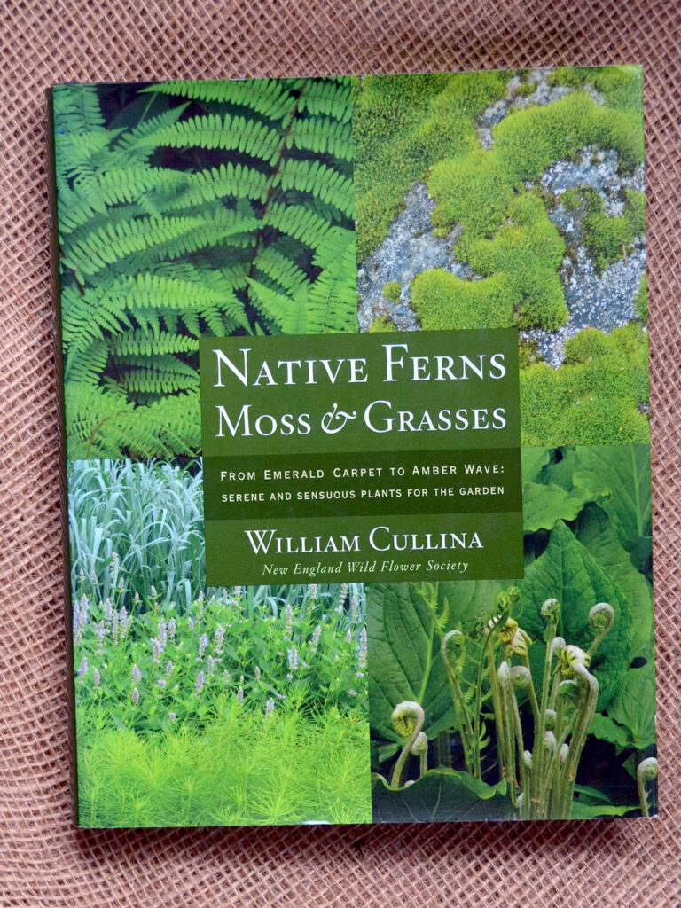 Cullina book on ferns