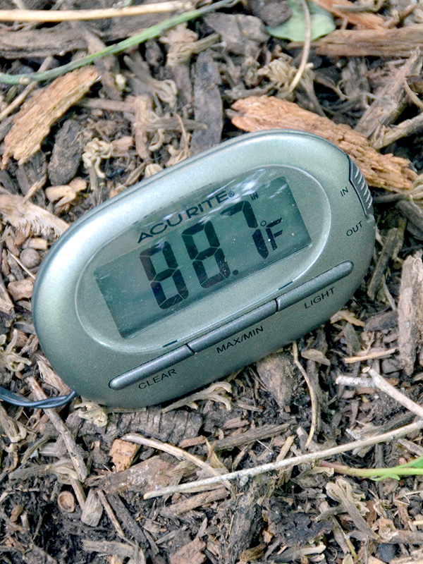 Temperature in the shade