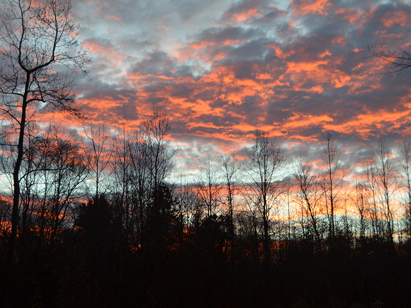 Sunset at Creekside