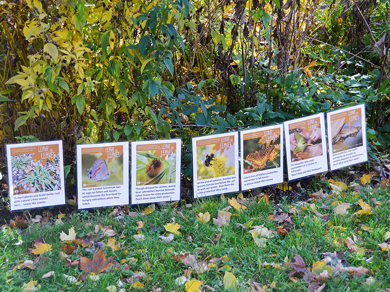 Xerces Leave the Leaves signs