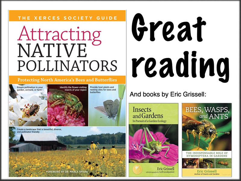 Books about pollinators