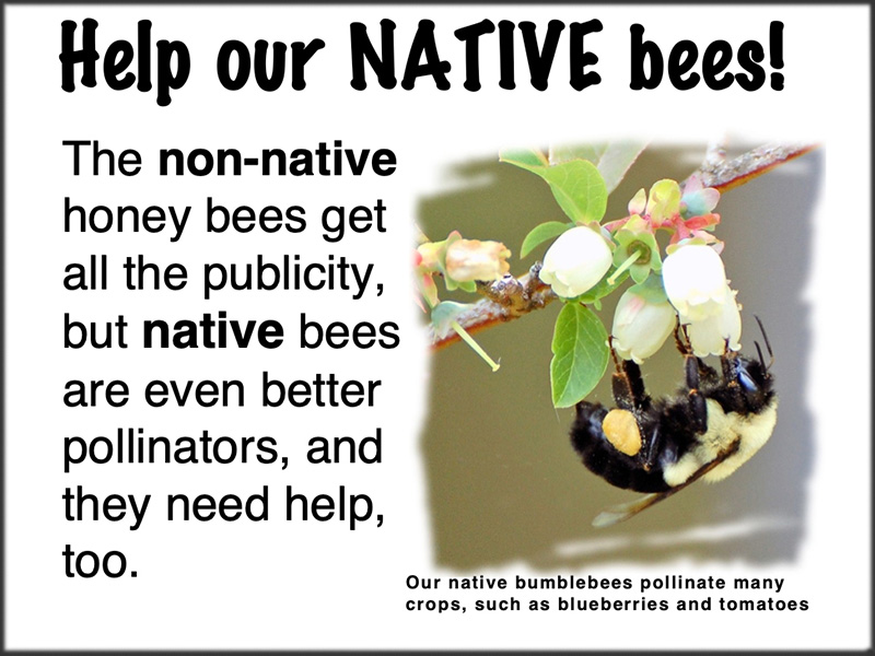 Help native bees sign