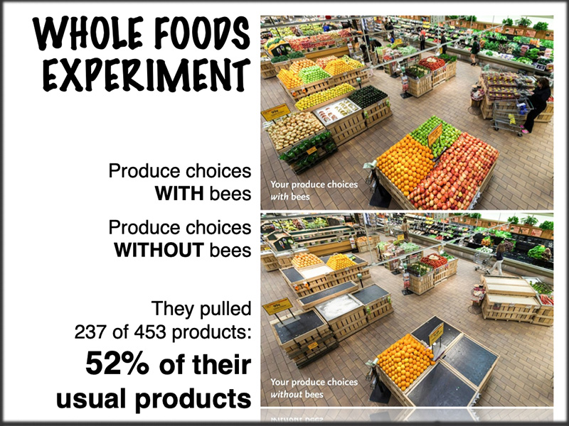 Whole Foods experiment