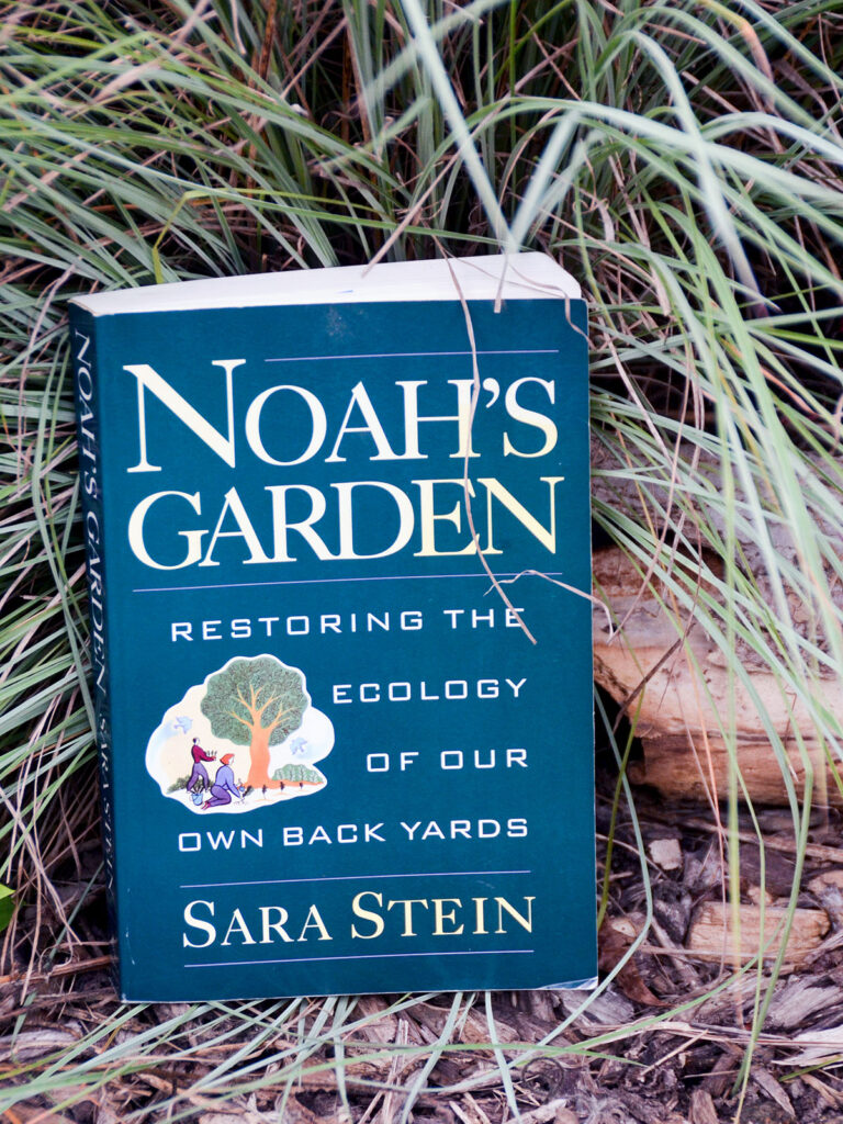 Noah's Garden by Sara Stein