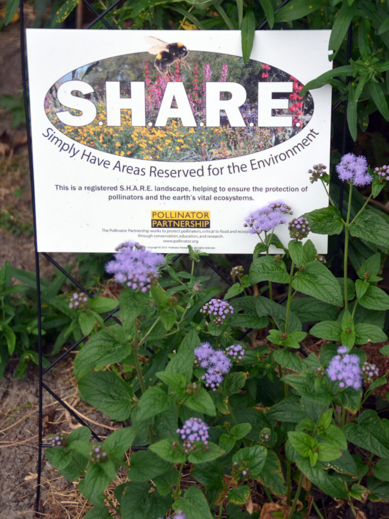 SHARE sign
