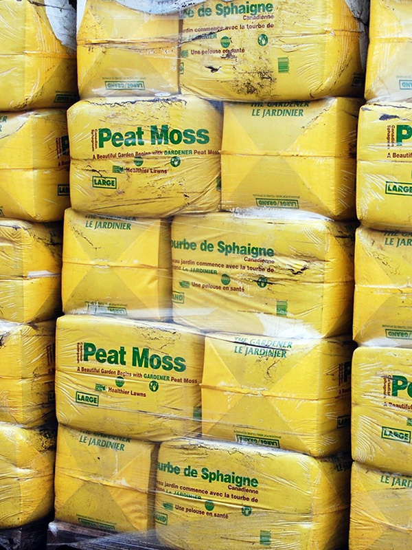 Peat moss