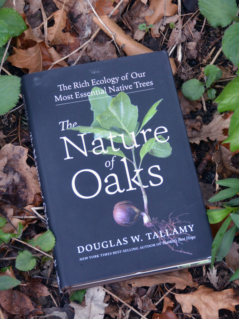 The Nature of Oaks by Tallamy
