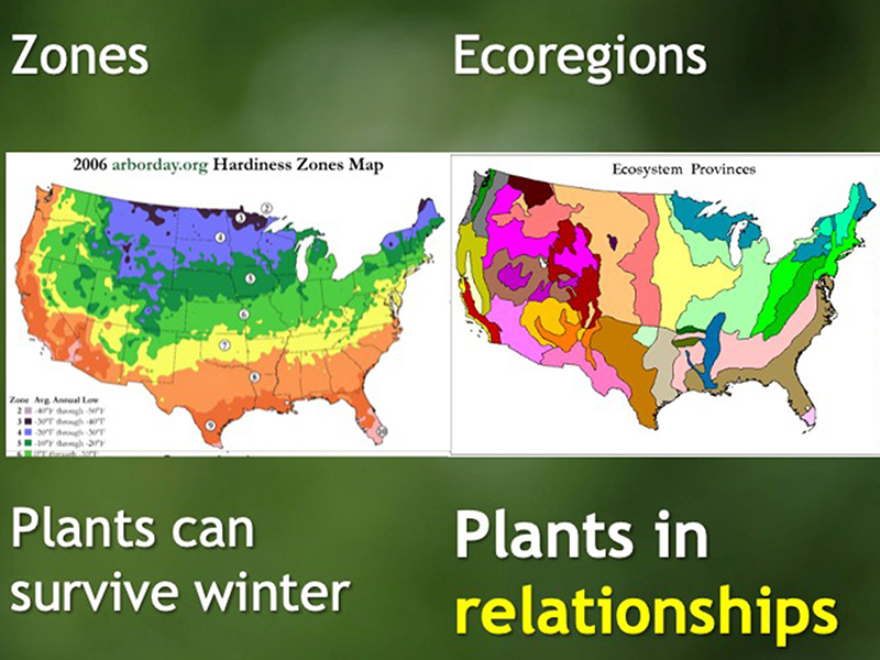 Zone vs. Ecoregion