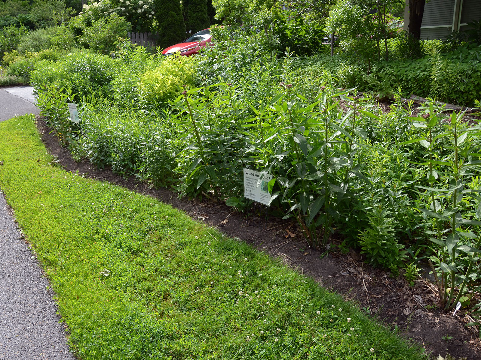 How to create a habitat garden – Our Habitat Garden