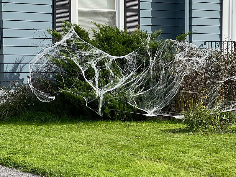 Halloween fake spider web