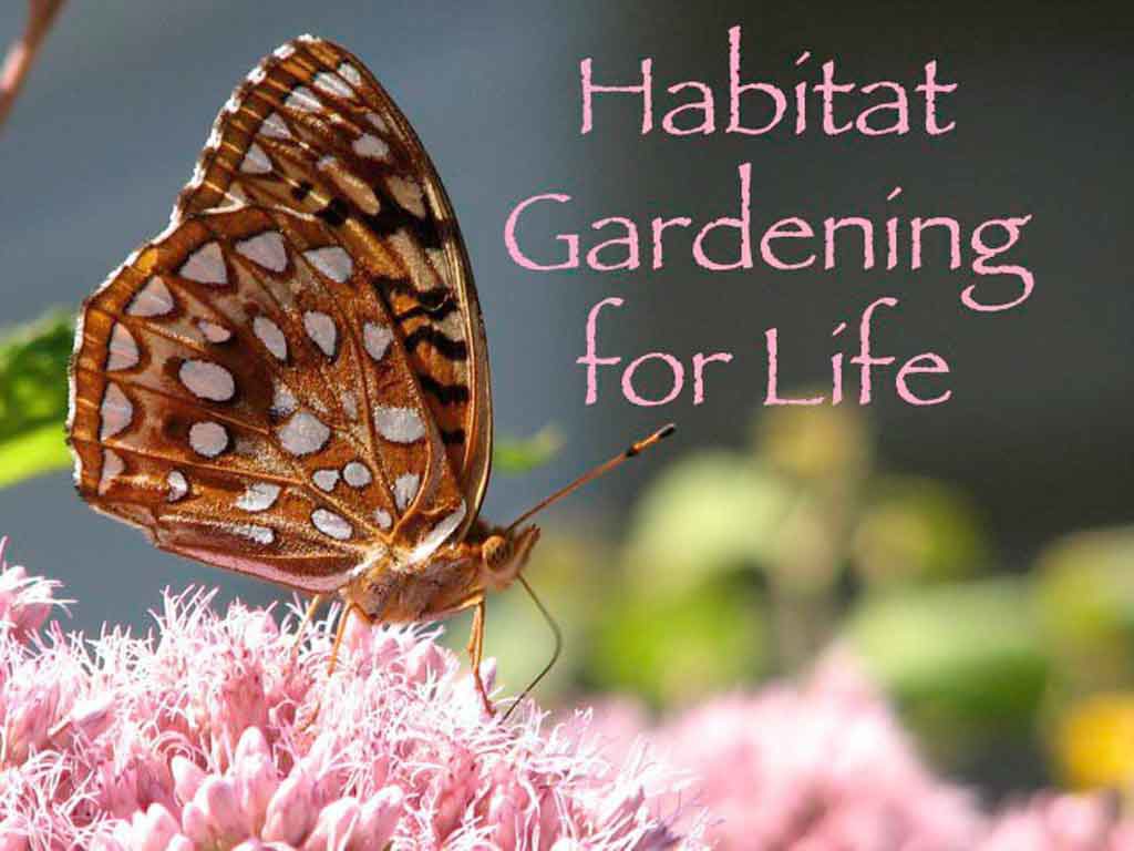Habitat Gardening for Life