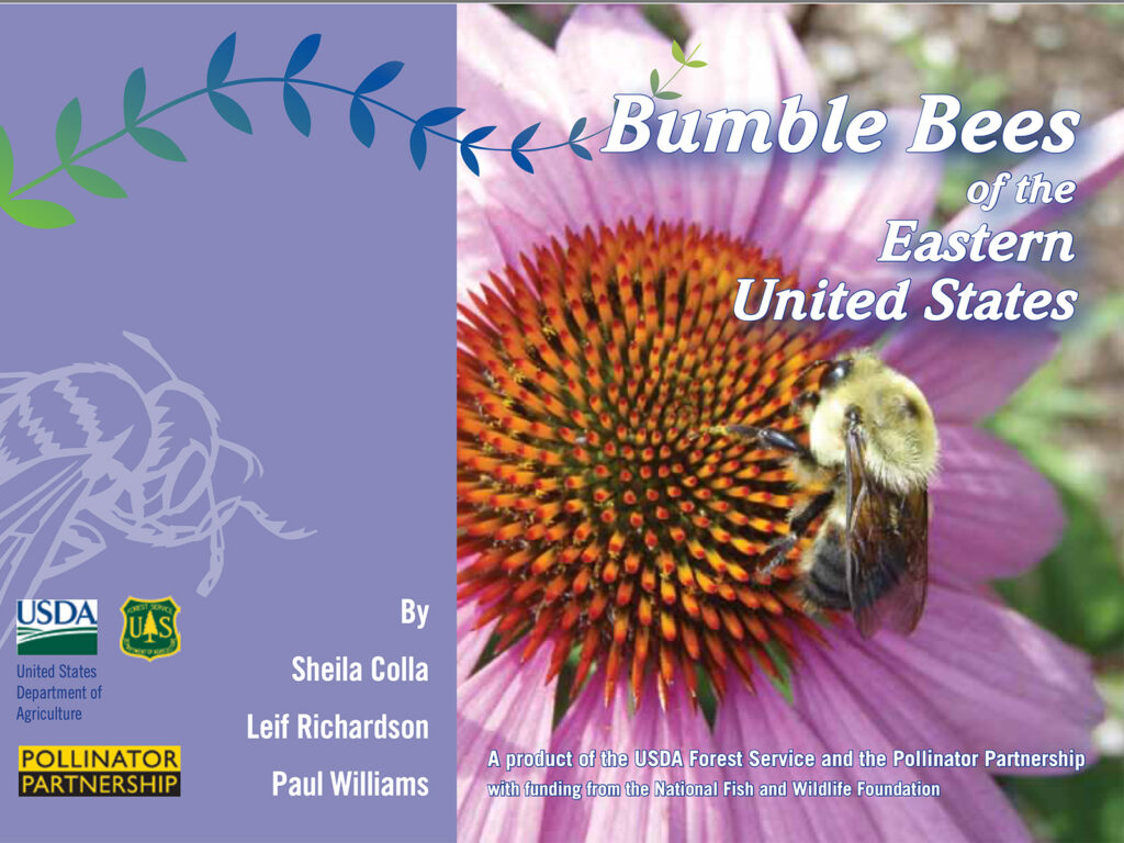 Bumble Bees of the Eastern U.S.
