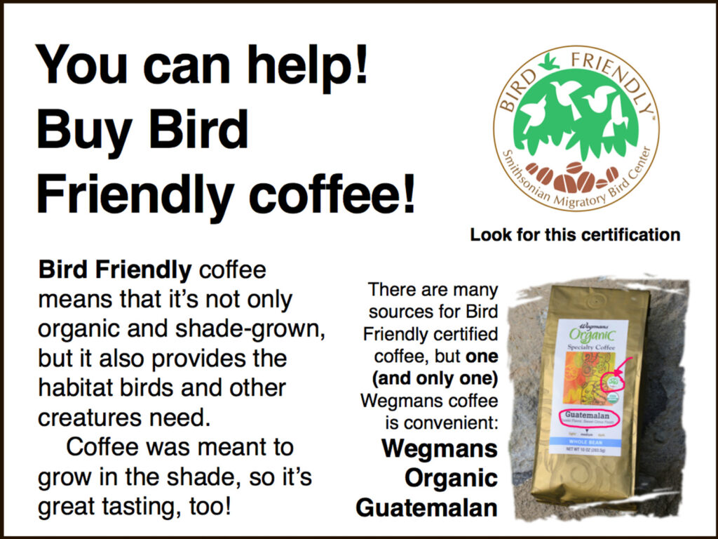 Bird-friendly coffee