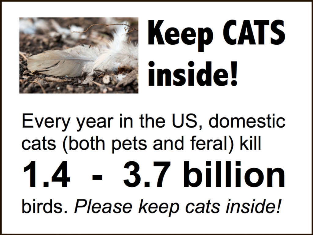 Keep cats inside