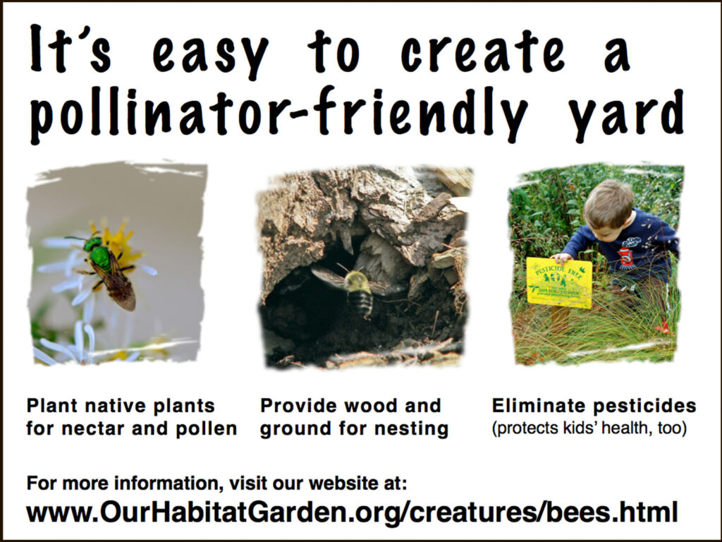 It's easy to create a pollinator-friendly yard