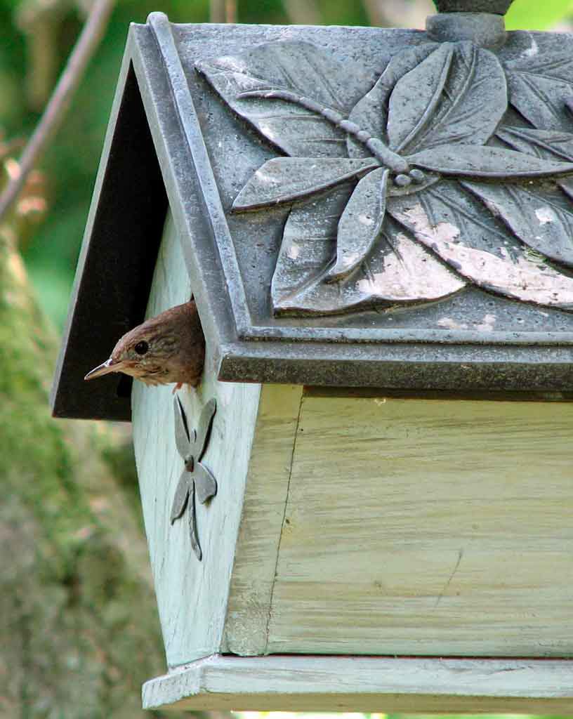 Decorative bird house