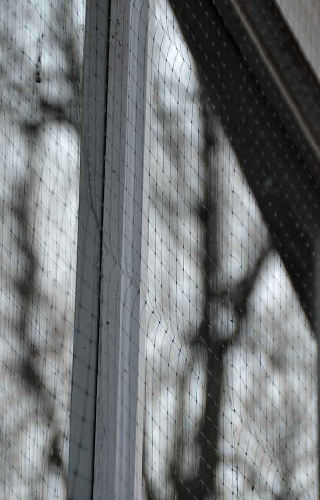 Attaching bird netting to the window surface