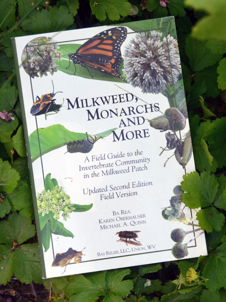 Milkweed book