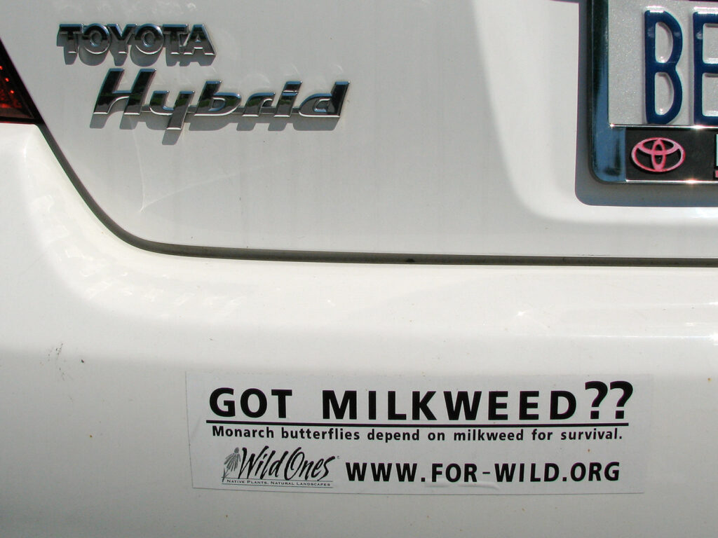 Milkweed bumper sticker