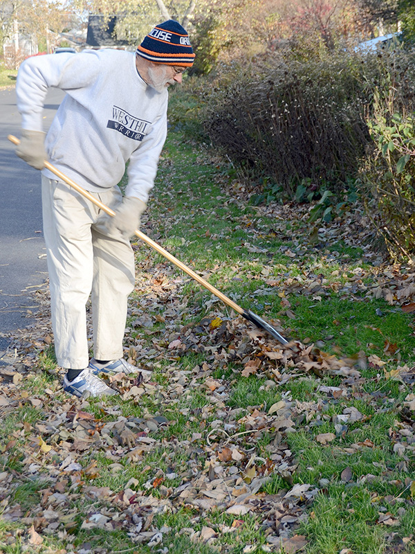 Raking leaves