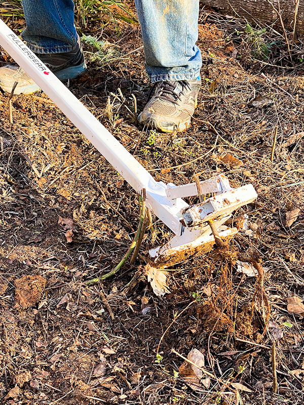 Using a weed wrench