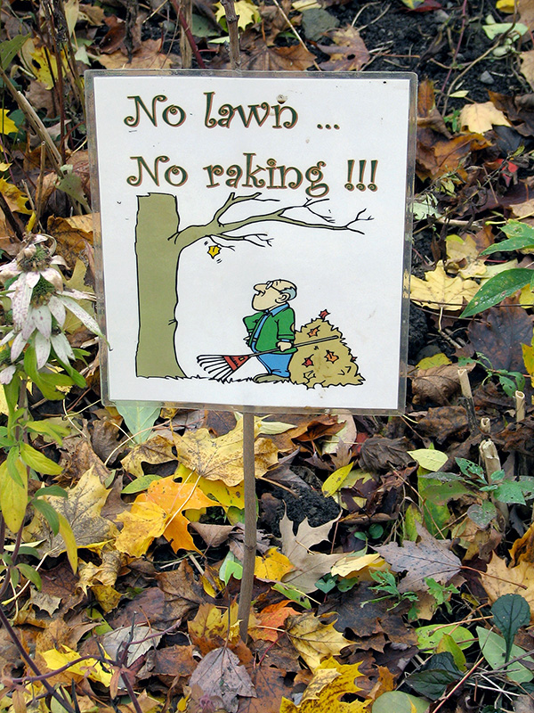 No lawn, no raking sign