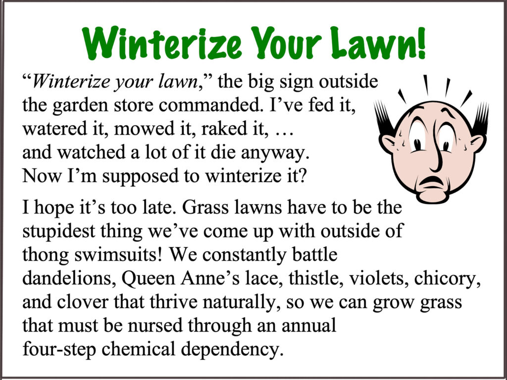 Winterize your lawn 1