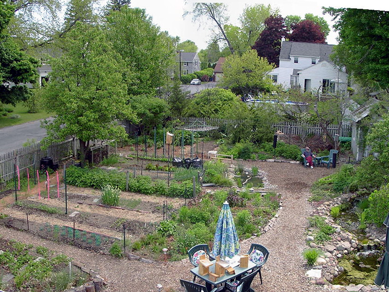 View of backyard paths from the roof ©Janet Allen