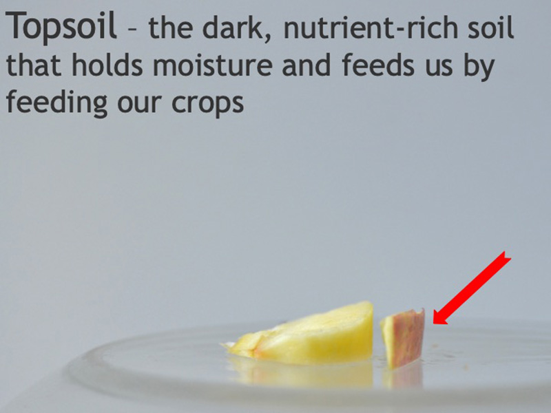 Soil demo 5