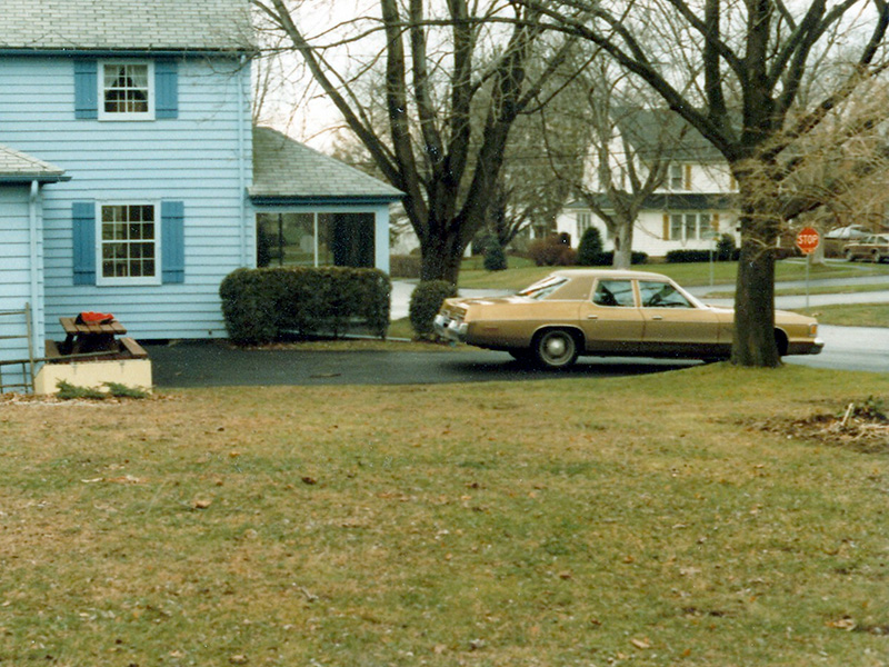 Our early-1980s back yard ©Janet Allen