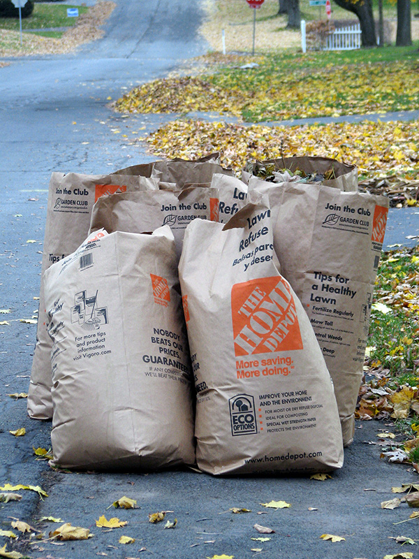 Bags of leaves put out as trash
