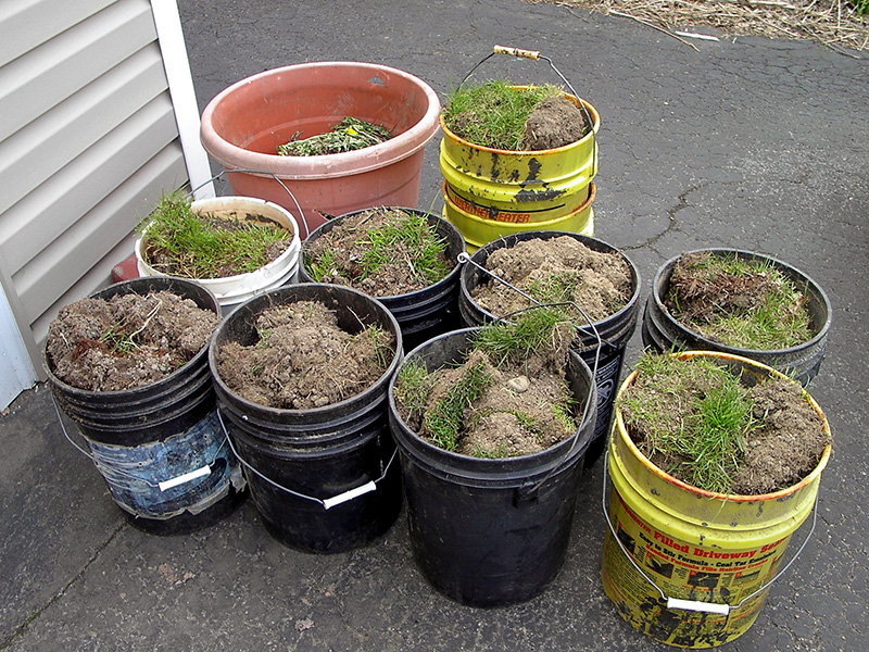 Topsoil rescued from the curb